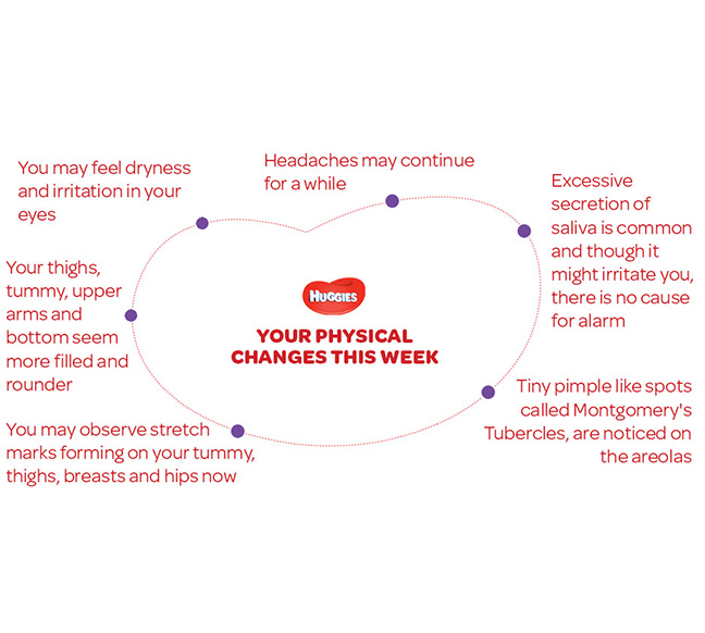 Your Physical Changes on 23rd  week