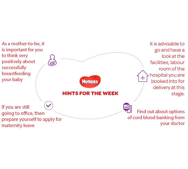 Your Physical Changes on 26th  week