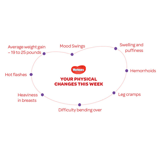 Your Physical Changes on 29th  week